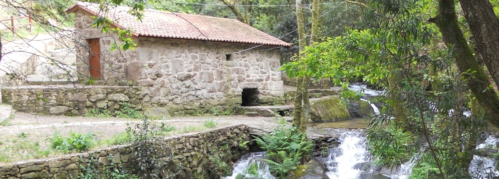 molinos-galicia-congreso